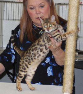 Kashiba with judge